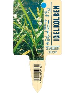 Sparganiumemersum, Bildstecketikett VS: