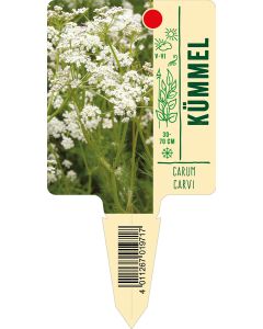 Carumcarvi, Bildstecketikett VS: