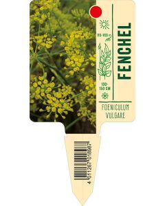 Foeniculumvulgare, Bildstecketikett VS: