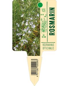 Rosmarinusofficinalis, Bildstecketikett VS: