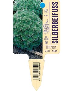 Artemisia schm. 'Nana', Bildstecketikett VS: