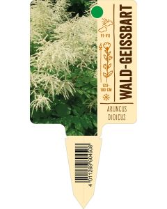 Aruncusdioicus, Bildstecketikett VS: