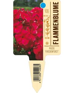 Phlox  'Kirchenfürst', Bildstecketikett VS: