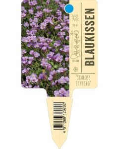 Bildstecketikett "Schloss Eckberg"