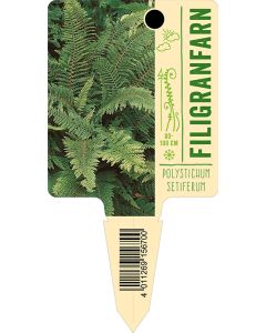 Polystichum setiferum, Bildstecketikett VS: