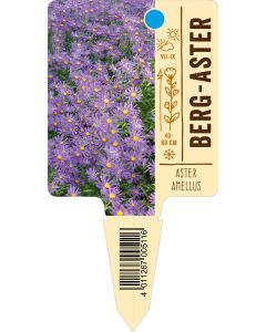 Asteramellus, Bildstecketikett VS: