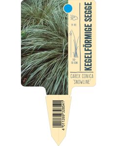 Carex conica 'Snowline', Bildstecketikett VS: