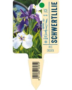 Irisensata , Bildstecketikett VS: