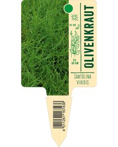 Santolinaviridis, Bildstecketikett VS: