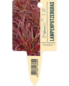 'Fireworks'®, Bildstecketikett VS: