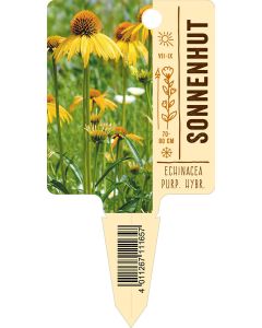 Echinacea purp. Hybr. , Bildstecketikett VS: