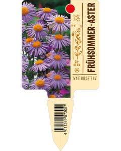 'Wartburgstern', Bildstecketikett VS: