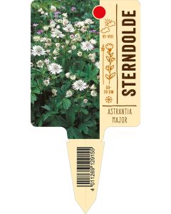 Astrantiamajor, Bildstecketikett VS:
