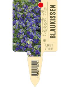 AubrietaHybride, Bildstecketikett VS: