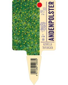 Azorellatrifurcata, Bildstecketikett VS: