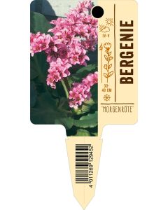 'Morgenröte', Bildstecketikett VS: