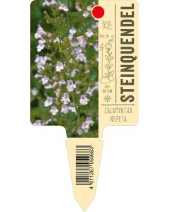 Calaminthanepeta, Bildstecketikett VS: