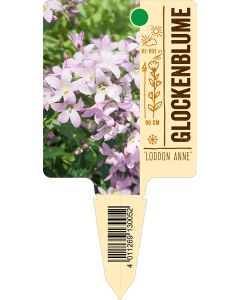 'LoddonAnne', Bildstecketikett VS: