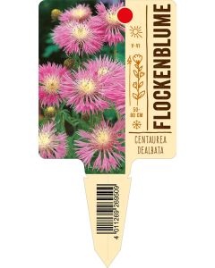 Centaureadealbata, Bildstecketikett VS: