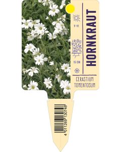 Cerastiumtomentosum, Bildstecketikett VS: