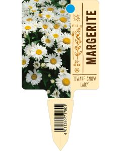 'Dwarf Snow Lady', Bildstecketikett VS: