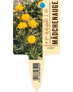 'Sunray', Bildstecketikett VS: