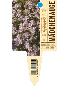 Coreopsis rosea 'American Dream', Bildstecketikett VS: