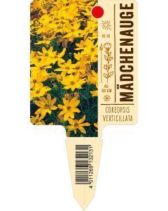 Coreopsisverticillata, Bildstecketikett VS: