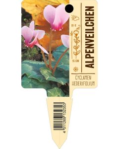 Cyclamenhederifolium, Bildstecketikett VS: