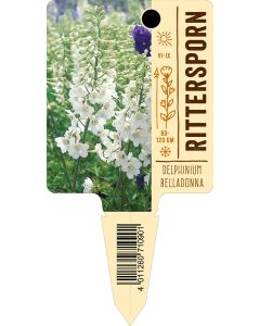 DelphiniumBelladonna-Hybride, Bildstecketikett VS: