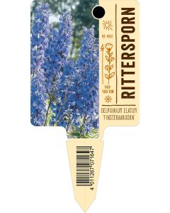 Delphinium Elatum 'Finsteraarhorn' , Bildstecketikett VS: