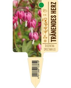 Dicentraspectabilis, Bildstecketikett VS: