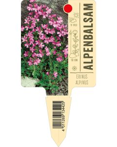 Erinusalpinus, Bildstecketikett VS: