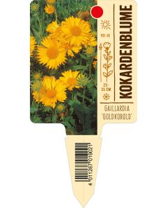 Gaillardia Hybride, Bildstecketikett VS: