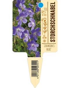 'Johnson'sBlue', Bildstecketikett VS: