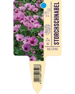 'Ballerina', Bildstecketikett VS: