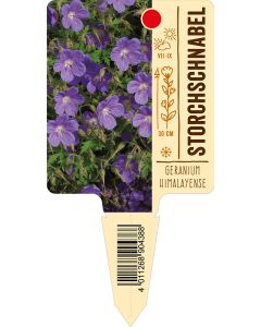 Geraniumhimalayense, Bildstecketikett VS: