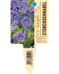 Geranium x magnificum, Bildstecketikett VS:
