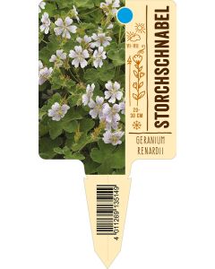 Geraniumrenardii, Bildstecketikett VS: