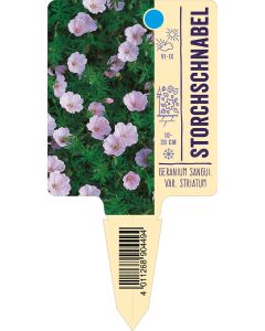 Geranium sanguineum var. striatum, Bildstecketikett VS: