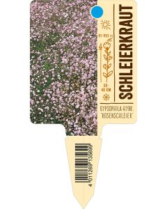 Gypsophila-Hybr.'Rosenschleier', Bildstecketikett VS: