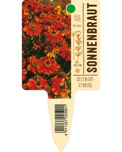 Helenium-Hybride, Bildstecketikett VS: