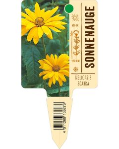 Heliopsisscabra, Bildstecketikett VS: