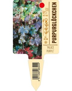 'PalacePurple', Bildstecketikett VS: