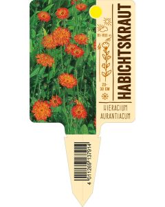 Hieraciumaurantiacum, Bildstecketikett VS: