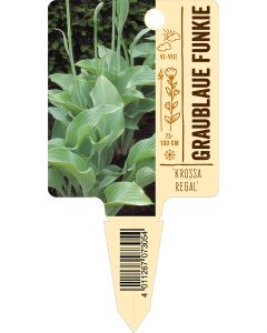 'KrossaRegal', Bildstecketikett VS: