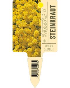 Auriniasaxatilis, Bildstecketikett VS: