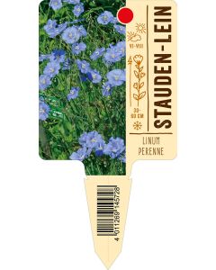 Linumperenne, Bildstecketikett VS: