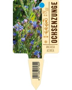 Anchusaazurea, Bildstecketikett VS:
