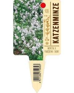 Nepeta x faassenii 'Alba', Bildstecketikett VS: